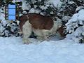 2009-12-19 17 M